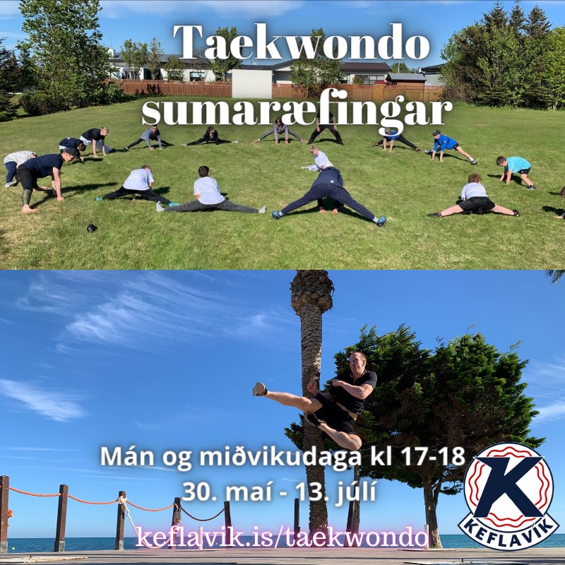 Sumarið 2022 Taekwondo