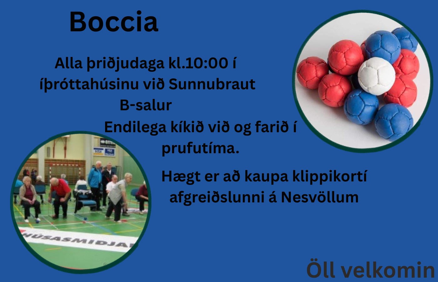 Boccia fyrir eldri borgara