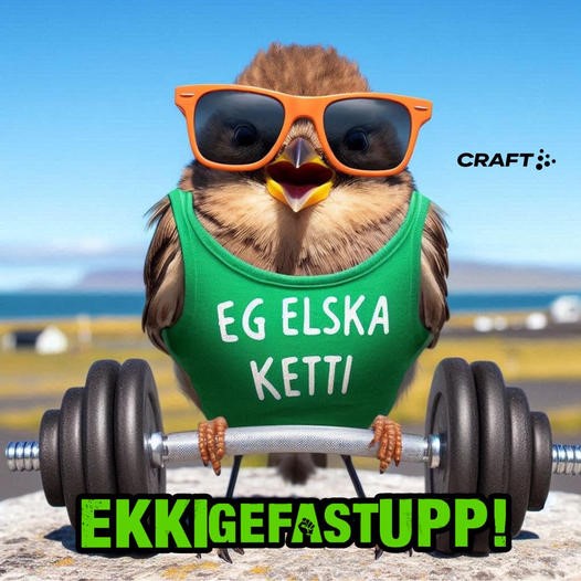 Líkamsrækt fyrir ungmenni sem finna sig ekki í hefðbundnu íþróttastarfi!
