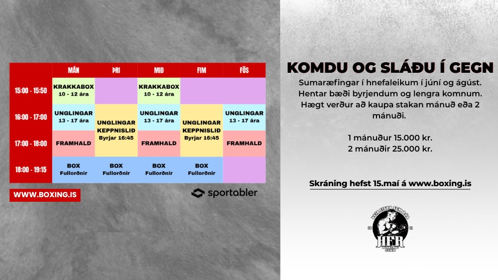 Hnefaleikar sumarið 2026
