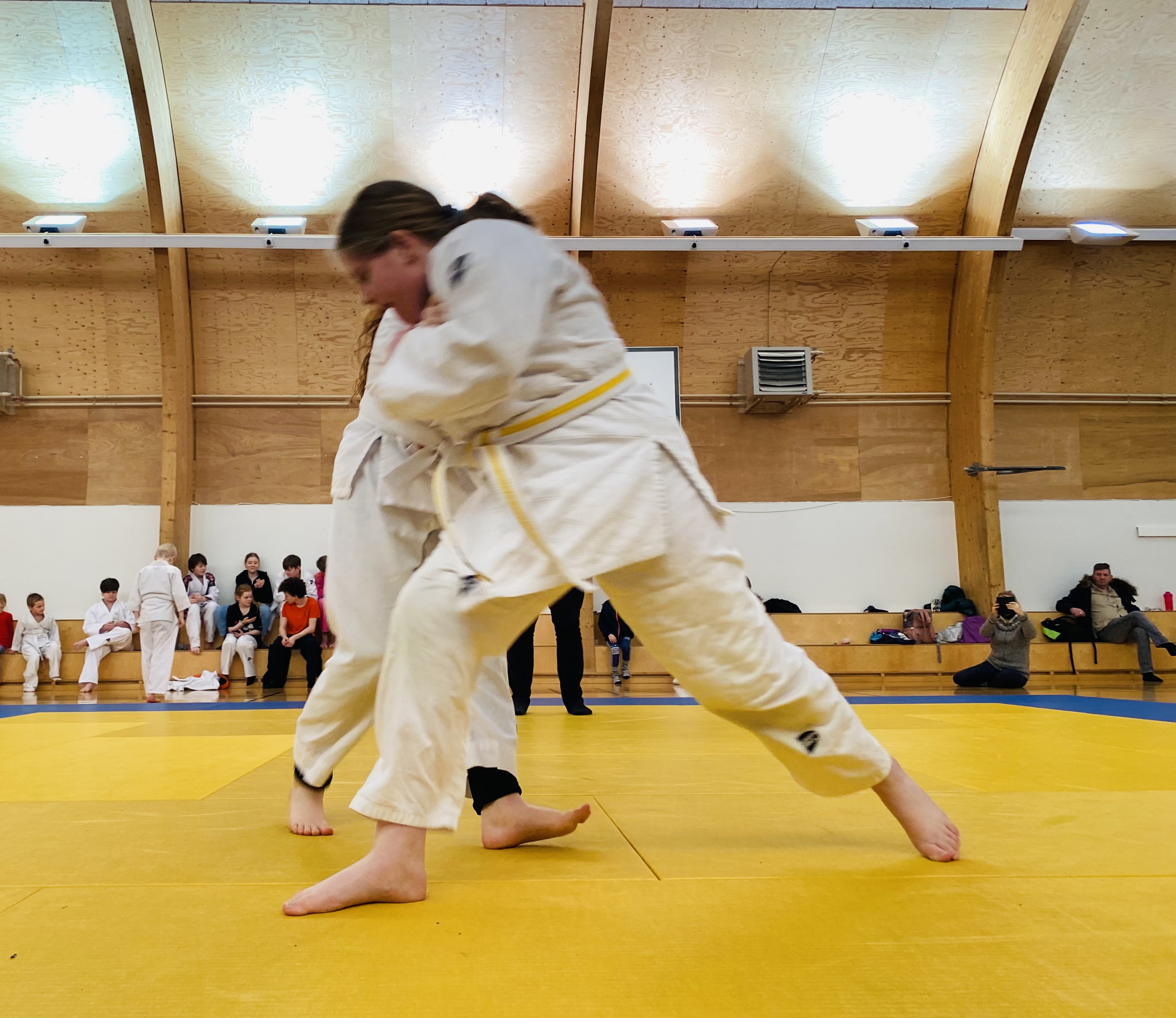 Judo/fangbrögð